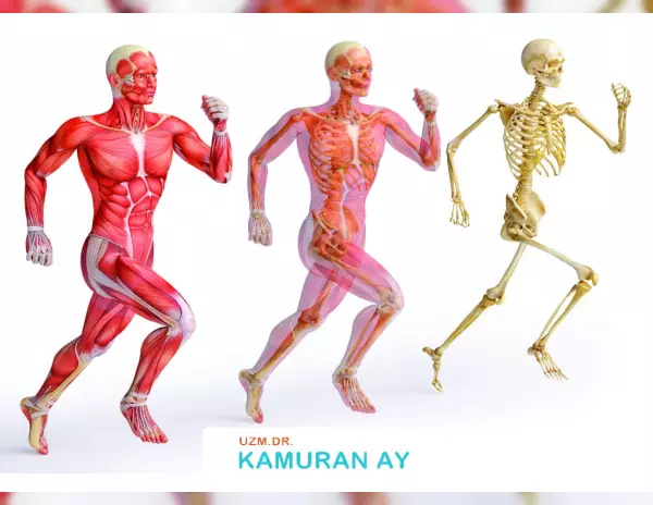 kas-iskelet-sistemi-hastaliklari