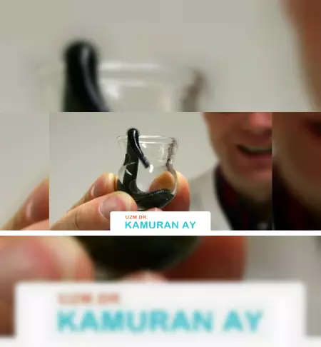 suluk-tedavisi